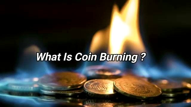 What Coin Burning Means discussed in the video