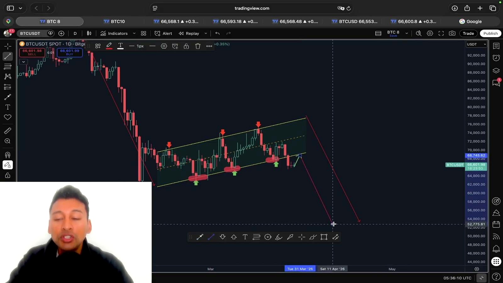 Why he thinks a short-term BTC rally could be a bull trap