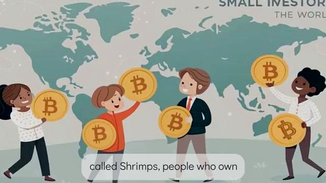 The Global Bitcoin Community of Small Holders discussed in the video