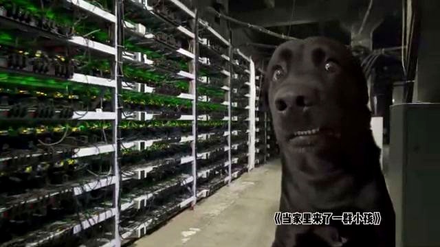 Why Solo Mining Is Usually Not Realistic discussed in the video