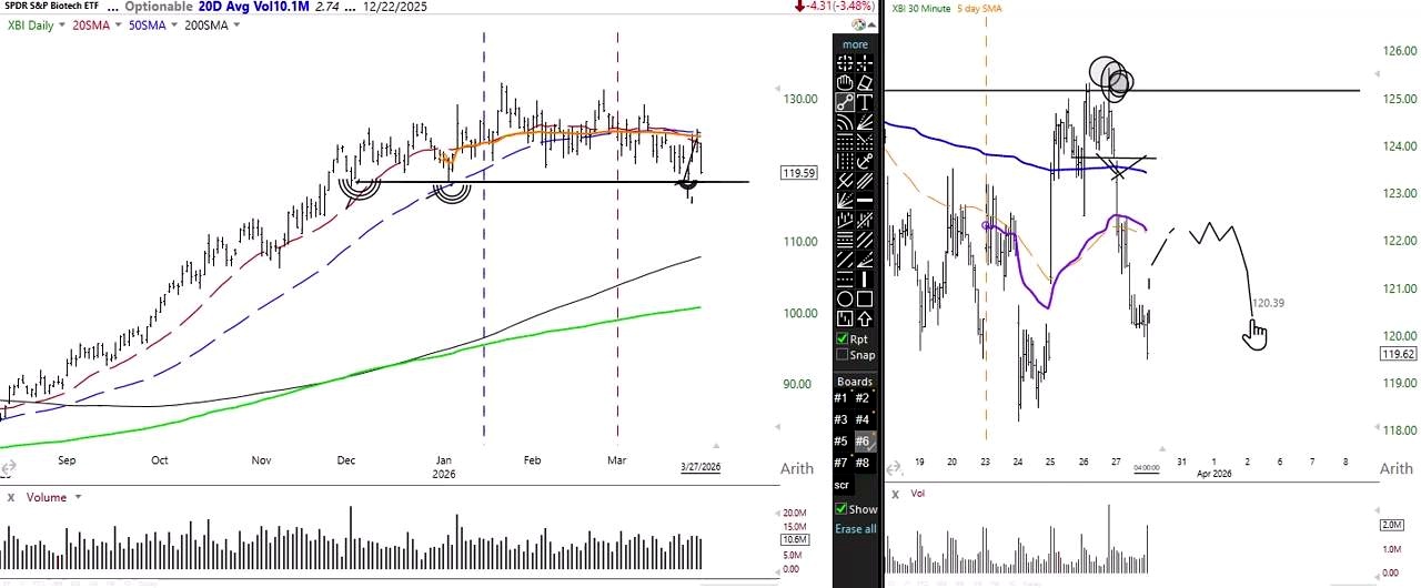 Biotechs and Financials Are Telling the Same Story discussed in the video